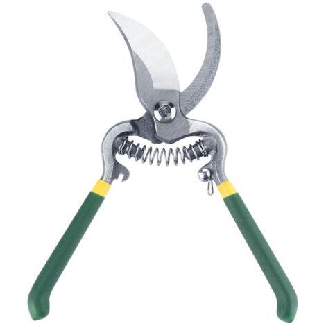 Professional Garden Scissors for Pruning Fruit Trees - Precise and Ergonomic - Ideal for Orchard Maintenance - Superior Quality - (1/2)