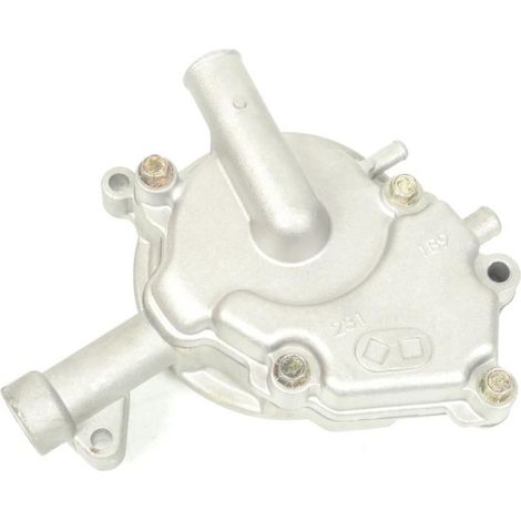 wasserpumpe p2r (motorisiert) für roller yamaha 125 x-max 2006 (1/4)