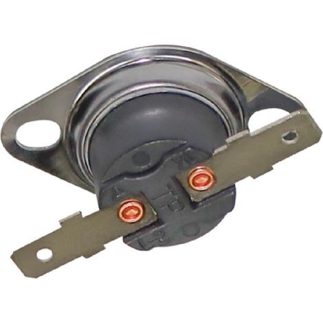Thermostat (AK766) - Buffalo