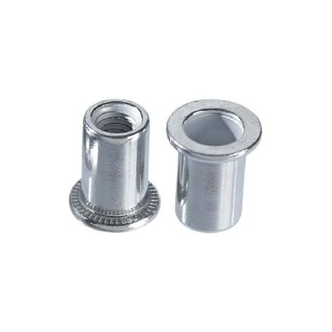 SACTO INSERTO INSERTI FILETTATI A TESTA CILINDRICA IN ACCIAIO ZINCATO - 200 PZ - M10 (1/2)