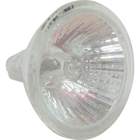 Ampoule lampe halogène 12V 20W Ø35mm pour optique plaque phare (1/2)