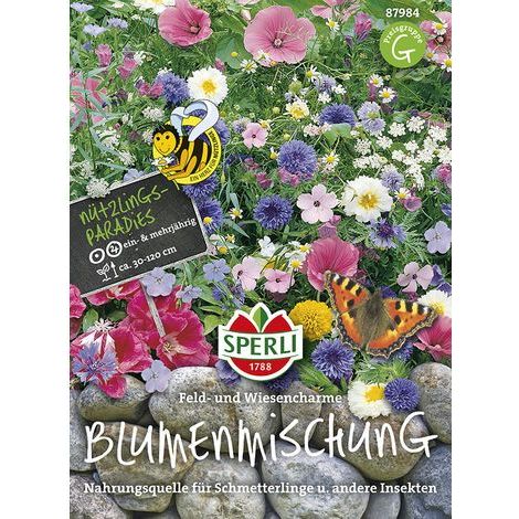 Sperli Blumenmischung Feld- und Wiesencharme - Blumensamen (1/4)