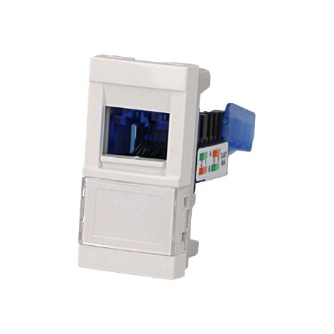 Module avec connecteur RJ45 Cat. 6 UTP 500 MHz pour goulotte - Couleur matériel - Blanc (1/3)