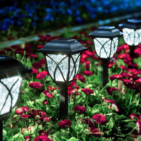 Lot de 6 lampes solaires d'extérieur étanches – Décoration LED pour jardin, terrasse, allée et aménagement paysager (1/5)