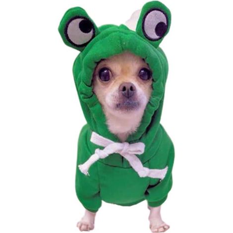 sweat Capuche Dog Frog (m), Vtements D'hiver Pour Chien, Manteau Pour Chien, Vtements Pour Chat, Veste Chaude Pour Animaux De Compagnie, Vtements (1/5)
