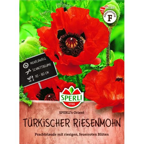 Sperli – Pavot d'Orient géant Orient (Papaver orientale) – Graines, 1 portion