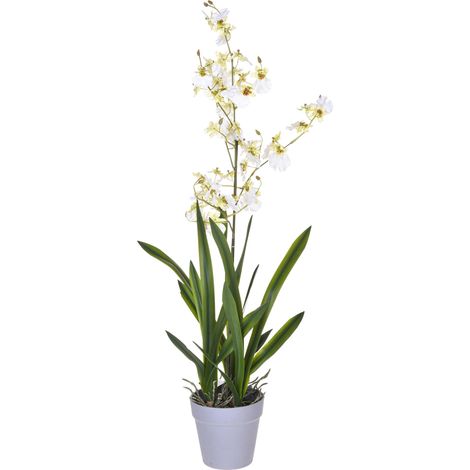 Orchidea Artificiali Oncidium con Vaso Altezza 40 cm Bianco (1/2)