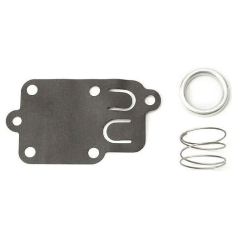 Membrane carburateur Briggs et Stratton (1/4)