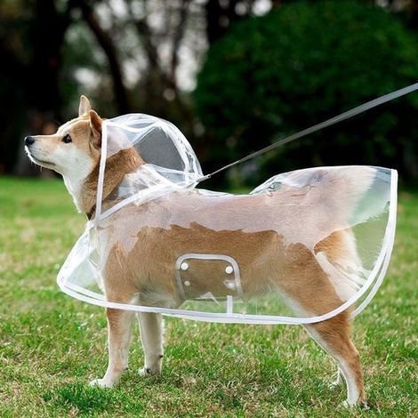 Impermeabile per animali domestici, impermeabile trasparente portatile per cani, impermeabile per cuccioli con cappuccio a poncho per uso esterno (M) (1/4)