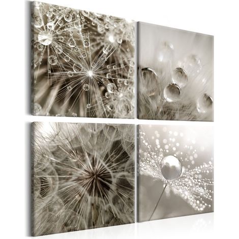 Tableau Imprimé "Grey Dandelion" 40 x 40 cm (1/2)