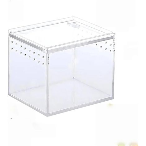Étui D'élevage de Reptiles en Acrylique Transparent,Boîte d'alimentation pour Insectes,Habitat de Reptiles en Acrylique,Transparence à 360 Degrés avec Trous d'air (10×10×10cm) (1/5)