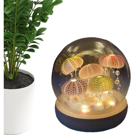 Veilleuse Bricolage - Boule de veilleuse Bricolage méduses sous - Produits (1/5)