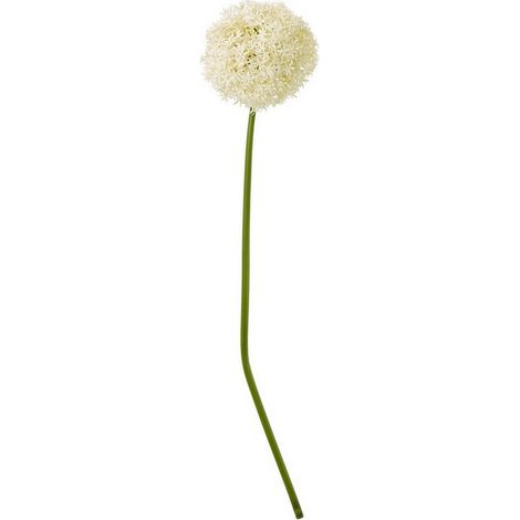 Giant Allium (Single Stem Flower) - Plastic - Height 90 cm - Cream