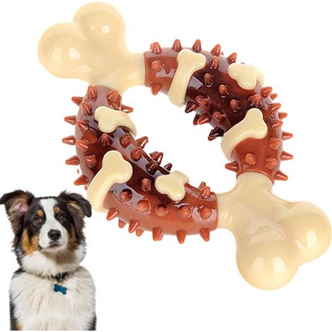 Dentition pour Chien - Jouet Dentaire résistant aux morsures pour Chien - Accessoire pour Chien - Jouet pour Chien Contre l'ennui et la Mastication stimulante (1/5)
