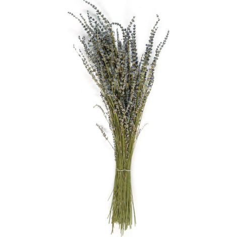 Bouquet de Fleurs Séchées - Lavandes (1/3)