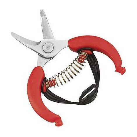 TIJERAS PARA CÍTRICOS '10,5' AUSONIA 10,5 cm