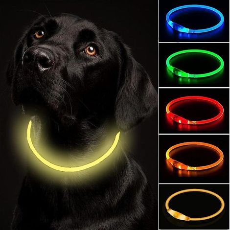 Collier LED rechargeable pour chien - Collier clignotant réglable et étanche pour chiens de petite, moyenne et grande taille (1/5)