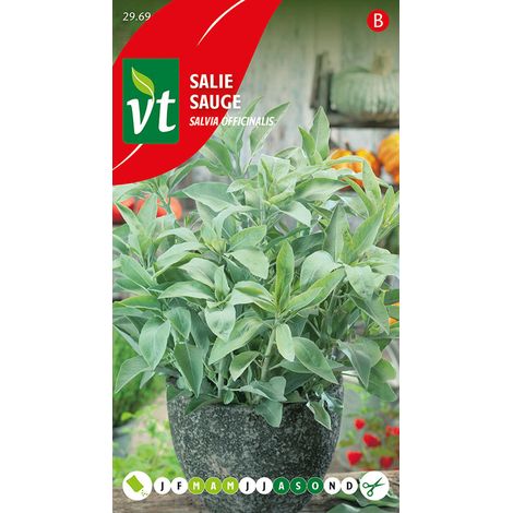 Sauge - Ca. 1 gr (Livraison Gratuite) (1/2)