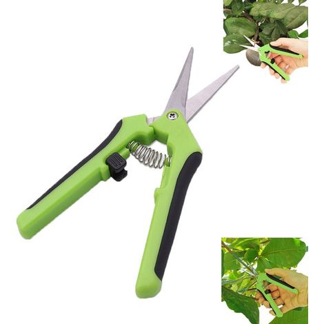Sécateur en acier inoxydable - Sécateur de jardin à lames droites - Vert - Sécateur antidérapant - Sécateur à lames droites pour fleurs - Sécateur de jardin pour loisirs créatifs - Sécateur de jardin  (1/5)