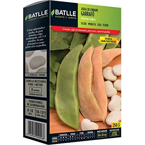 Semillas Batlle Ebraica GARRAFO tipo PALLINA