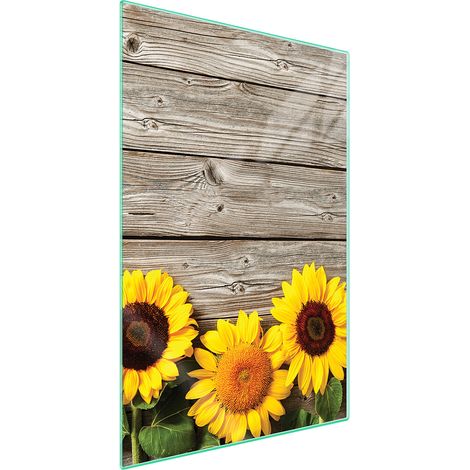 Tagliere in vetro 35x52 in legno (1/5)