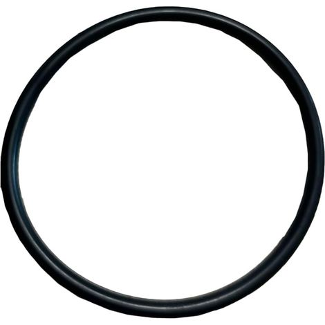 Joint d'étanchéité pour pompe Intex Spa - Joint torique - Type de pompe à eau - Pièce de rechange (1/5)