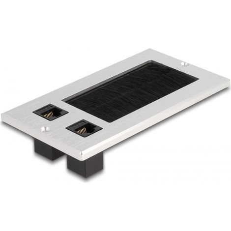 Delock Entrada de cables con cepillo y 2 x RJ45 Keystone modular Cat.6 de aluminio