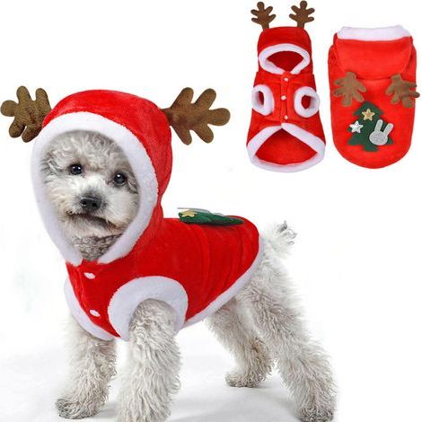 (L) Tenues de Noël pour chien, chat, costume de Noël pour chien, pulls de Noël, manteau à capuche, chapeau, vêtements pour animaux de compagnie, renne, déguisement amusant de Père Noël, cosplay, fête (1/5)