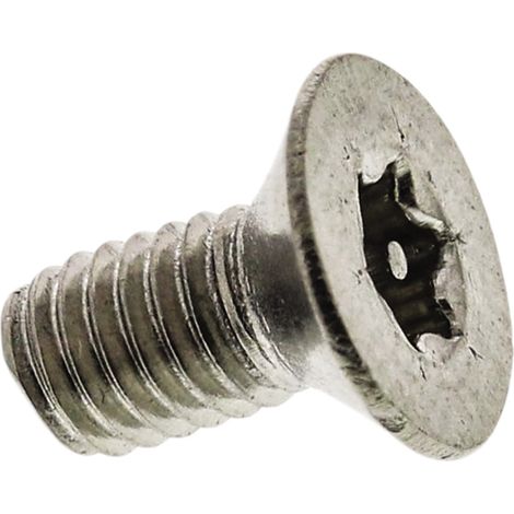 Vis de sécurité inviolable, M3 x 6mm, tête plate, en Acier Inoxydable A2 304 ( Prix pour Sachet de 100 )