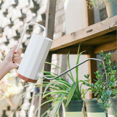 Arrosoir en plastique blanc pour plantes horticoles en pot, style nordique, avec long bec courbé. (1/5)