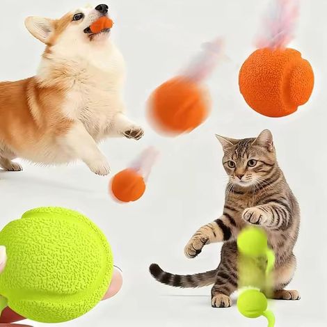 Balle interactive pour chat, ensemble de balles sauteuses, balle électrique pour chat avec simulation de chant d'oiseau, balle rechargeable par USB (queue courte) (1/5)