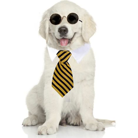 1 cravate pour animaux de compagnie, rayée noir et jaune, ajustable avec velcro, pour chiens et chats de petite à moyenne taille (1/5)