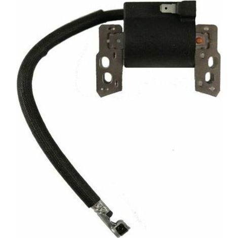 Bobina de encendido, apta para Briggs & Stratton (1/2)