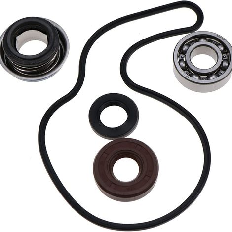 The 3610075 water pump repair kit contains a complete set of spare parts for various water pump models, including seals, bearings, and impellers. – 20 sets