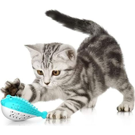 Jouet Dentaire Chat, Jouet pour Chat Jouet Molaire en SiliCône à Macher Jouet Chaton Cataire Brosse à Dents Forme de Poisson Jouet Interactif Hygiène Dentaire Chat(Bleu) (1/5)