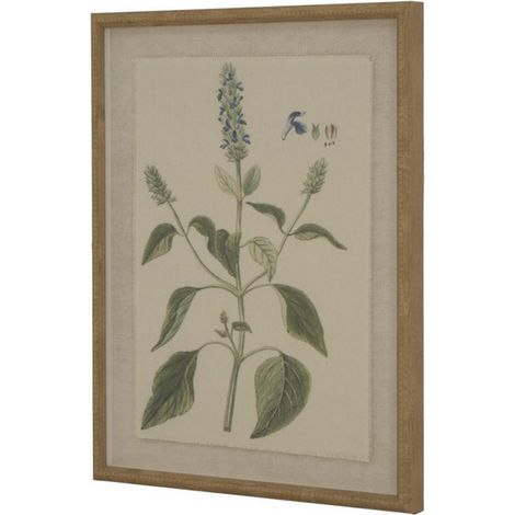 Flora & Fauna Collection Salvia on Linen in Beaded Frame - Glass - L2 x W40 x H50 cm - Brown