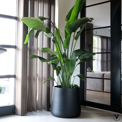 Pot de fleurs Portland en fiberstone noir, jardinière intérieur et extérieur, Ø42 cm et Ø55 cm - PANGIVO (1/3)