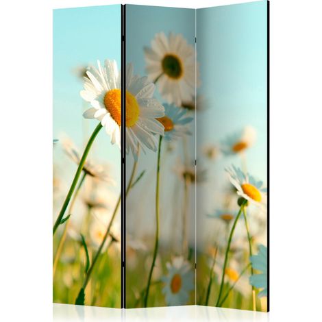 Paravent 3 Volets "Daisies Spring Meadow II" 135x172cm (1/2)