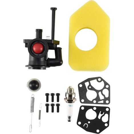 795477 Carburatore 691859 692211 Molla del regolatore 698369 Filtro dell'aria (1/4)