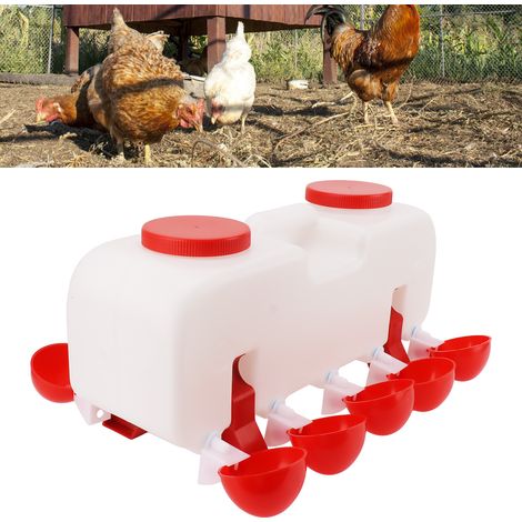 Dispensador automático de agua de 10 litros para pollos, gansos y patos – polipropileno (1/5)