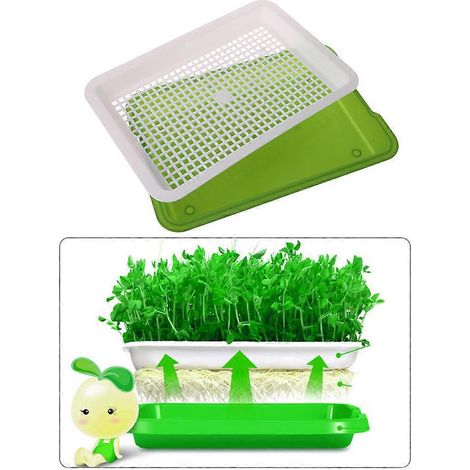 Plateau de germination hydroponique, plaque de germination, système hydroponique, pots de pépinière (1/4)