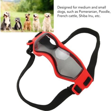 Lunettes pour animaux de compagnie, lunettes pour chiens, lunettes imperméables et coupe-vent RUIDA (1/4)