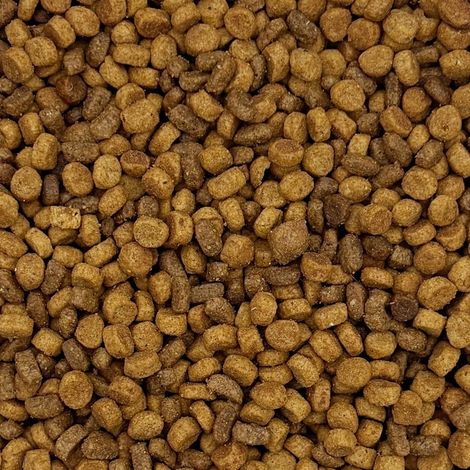 MAXIPET, alimento secco completo per gatti con manzo, confezione da 10 kg.