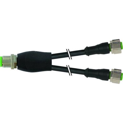 Murrelektronik 7000-40701-6330060 Distributore e adattatore per sensore o attuatore 0.60 m Numero di poli: 4 1 pz.