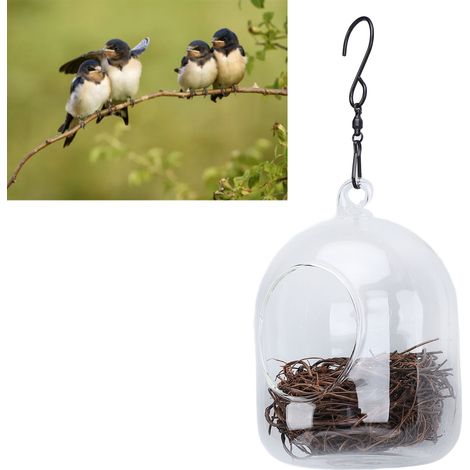 Casita para pájaros transparente e impermeable con ganchos. (1/5)