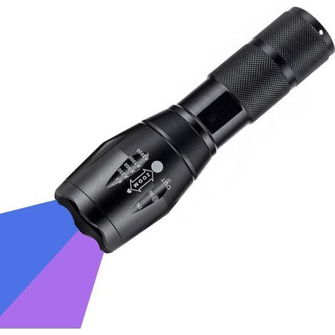 Lampe torche UV - Lampe torche à lumière noire - Détecteur d'urine, de faux billets et autres taches - Détecteur compact (1/5)