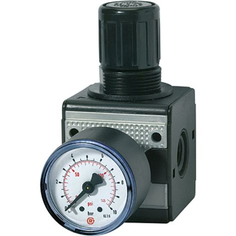 Riegler Druckregler »multifix«, inkl. Manometer, BG 1, G 1/4, 0,2 - 6 bar (1/4)