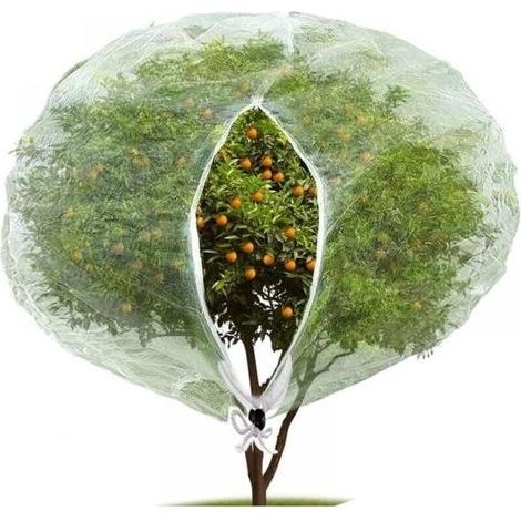 Filet anti-insectes et anti-oiseaux (80 x 80 cm) avec fermeture éclair, filet anti-insectes de jardin pour protéger les plantes, les fruits et les fleurs des insectes (1/5)