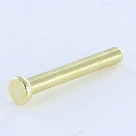 Rivet à frapper Tête plate 2.6X20 Diamètre de tête: 4.5 EP1.2 Acier laitonne