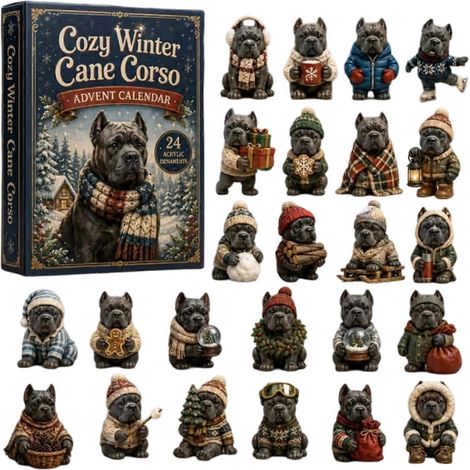 Calendrier de l'Avent 2026 Animaux – 24 jours Acrylique – Cadeau pour enfant pour sapin de Noël (I) (1/4)